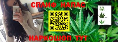 каннабис Кунгур