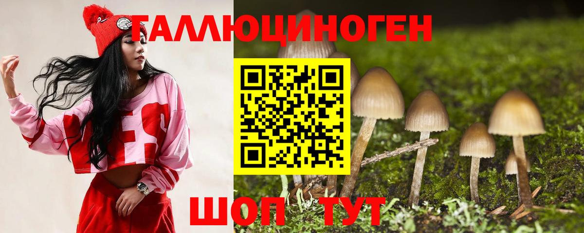 Псилоцибиновые грибы Psilocybe Калининград